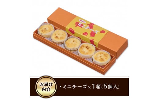 ＜お試し用＞濃厚チーズケーキ (計5個) チーズケーキ チーズ スイーツ 冷凍 お菓子 おやつ 焼き菓子 お取り寄せ 大分県 佐伯市【AJ74】【(有)ケーキ大使館クアンカ・ド−ネ】