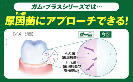 ガム・プラス デンタルペースト 120g×24本（リフレッシュミント） 歯磨き 歯みがき ハミガキ 歯周病 虫歯 口臭 大阪府高槻市/サンスター[AOAD028] [AOAD028]