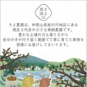 先行受付　柿(種無し)　赤秀品大玉　6個入　約1.8kg【配送不可地域：離島】【1616656】