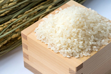 [定期便／3回] JAS有機認定 こしひかり 合計9kg (3kg×3回) [日光ダイヤ舞／白米] 令和7年10月上旬より順次発送｜2025年度米 令和7年度米 オーガニック米 JAS有機認定 無農薬
