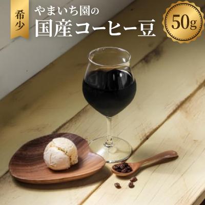 ふるさと納税 名護市 やまいち園の希少国産コーヒー豆 50g(カーボニックマセレーション精製)