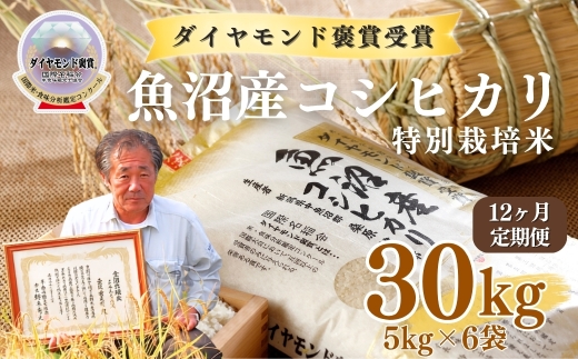 【令和8年産先行予約】【12ヶ月定期便】魚沼産コシヒカリ 30kg(5kg×6袋) 特別栽培米 ダイヤモンド褒賞受賞 |  新潟産コシヒカリ 新潟県産コシヒカリ 魚沼産こしひかり 米 お米 こしひかり 白米 精米 ブランド米 最高級 新潟県 津南町