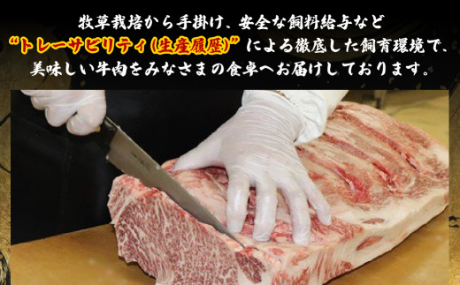 長崎和牛サーロインステーキ(3枚)　肉 牛肉 ロース 黒毛和牛