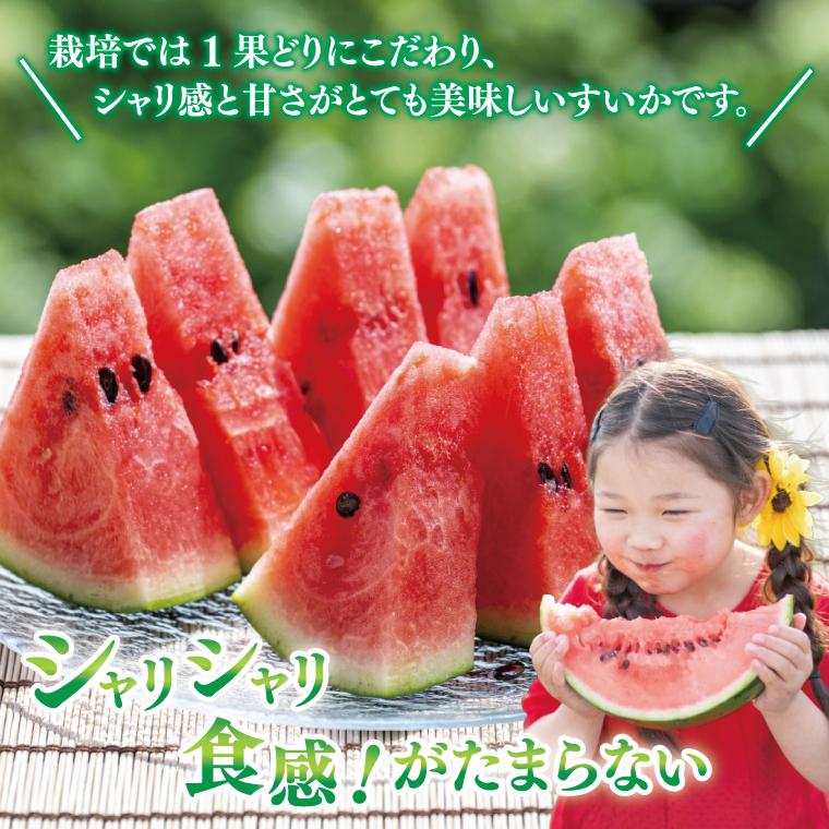 【先行予約 6月中旬から順次配送】すいか 羅皇 ザ・スイート 3L（1玉入り）【果物 甘い スイカ　西瓜 茨城県 阿見町産】(76-02)