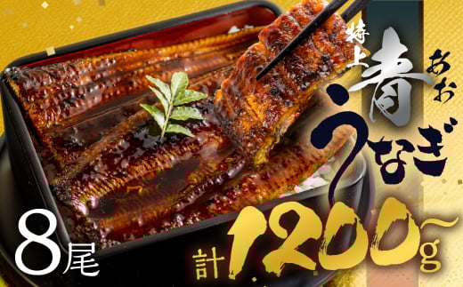 【年内お届け/冷凍】厳選 高級 青うなぎ 8尾 蒲焼 1200g