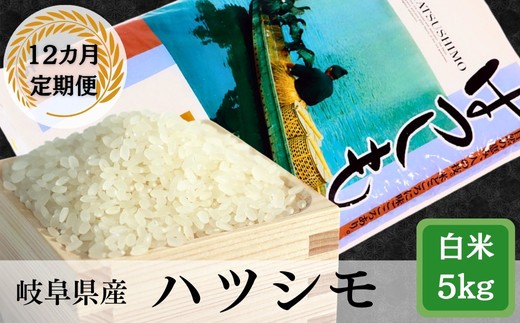 ≪令和7年産≫【12か月定期便】岐阜ハツシモ5kg