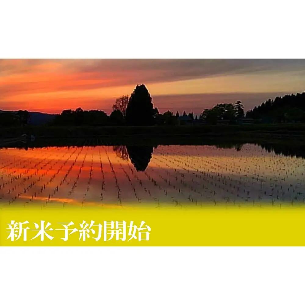 【令和8年産　新米予約】定期便３ヶ月：無洗米5kg●南魚沼しおざわ産コシヒカリ【定期便 銘柄米 ブランド米 精米 こしひかり コシヒカリ 魚沼産 新潟米 お米 米 こめ コメ】【2026年10月上旬か