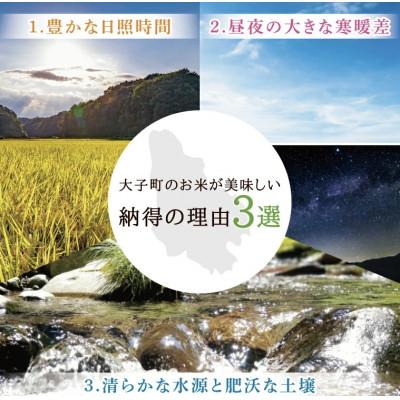 ふるさと納税 大子町 【毎月定期便】大子産米 コシヒカリ (精米) 10kg×3回お届け 茨城県 大子町全3回 |  | 01