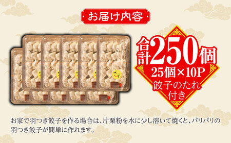 冷凍 博多一口餃子 25個入り×10パック＜麺専科げんき＞那珂川市 餃子 博多 冷凍 ぎょうざ 一口餃子 ひとくち餃子 博多餃子[GEG003]
