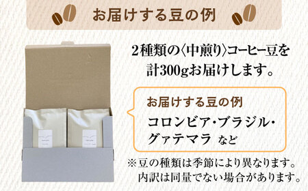 こだわりの自家焙煎 コーヒー豆 〈中煎り〉 2種 計300g 多治見市 / Jikan ryoko コーヒー[TDR002]
