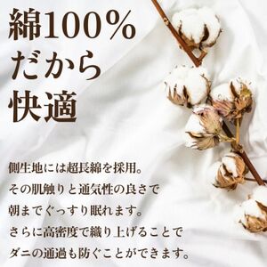 【抗菌・抗ウイルス加工】本掛け羽毛布団(セミダブル)綿100% 日本製 秋冬【甲州羽毛ふとん】【1502618】