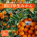 【ふるさと納税】＜先行予約受付中！2024年12月上旬より順次発送予定＞＜訳あり＞ みかん 田口早生(約5kg・補償分0.3kg) みかん ミカン 蜜柑 柑橘 フルーツ 果物 くだもの 果実 高橋農園 【109800101】【高橋　憲明】