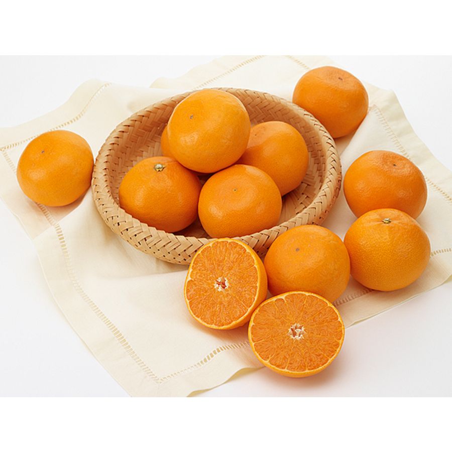 「せとか」秀品（L～3L）3kg（10～12個）