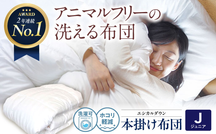 洗える 人工羽毛布団 掛け布団 〈ジュニア〉人工羽毛 エントリーモデル  広島県福山市/イシケン株式会社 2枚組 羽毛布団 羽毛ふとん 肌掛け 日本製 オールシーズン 掛布団 寝具 アレルギー対策 [BAAK029]