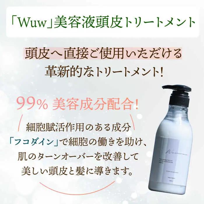 【4回定期便】美容液シャンプー＆トリートメント「Wuw」フルーツフローラルの香り 400mlセット 桂川町/株式会社studio.FELIZ [ADBU015] トリートメント ダメージケア ヘアケア