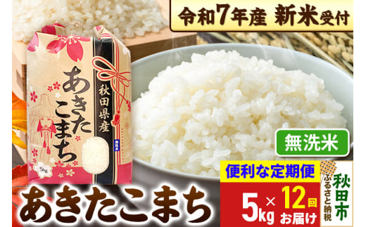 《令和7年産 新米受付》《定期便12ヶ月》 あきたこまち 5kg【無洗米】秋田県産 こまちライン
