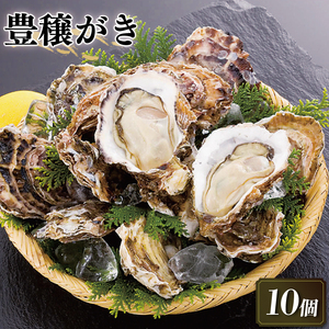 岩手県赤崎産 豊穣かき（生食用冷凍牡蠣） 10個 個包装 【かき カキ 三陸産牡蠣 国産 海鮮 バーベキュー 赤崎産牡蠣 冷凍 殻付き牡蠣 濃厚 新鮮な牡蠣 かき 牡蠣 鍋 冷凍 簡単調理 アヒージョ 牡蠣 牡蠣 魚貝類 加工食品 殻付き牡蠣 大船渡市 岩手県】