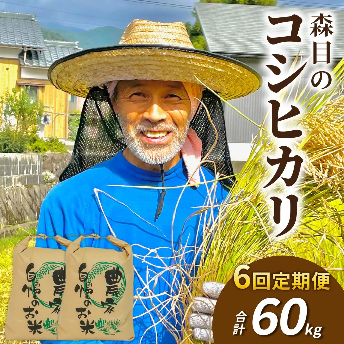 令和8年産 新米 こしひかり 10kg 6回定期便 玄米