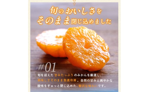 【毎週定期便】愛媛県産 冷凍みかん定期便｜シャーベット感覚で楽しむ完熟みかん【G25-391】全3回【4083932】　ふるさと納税 冷凍 みかん ミカン フルーツ デザート スイーツ アイス 果物 