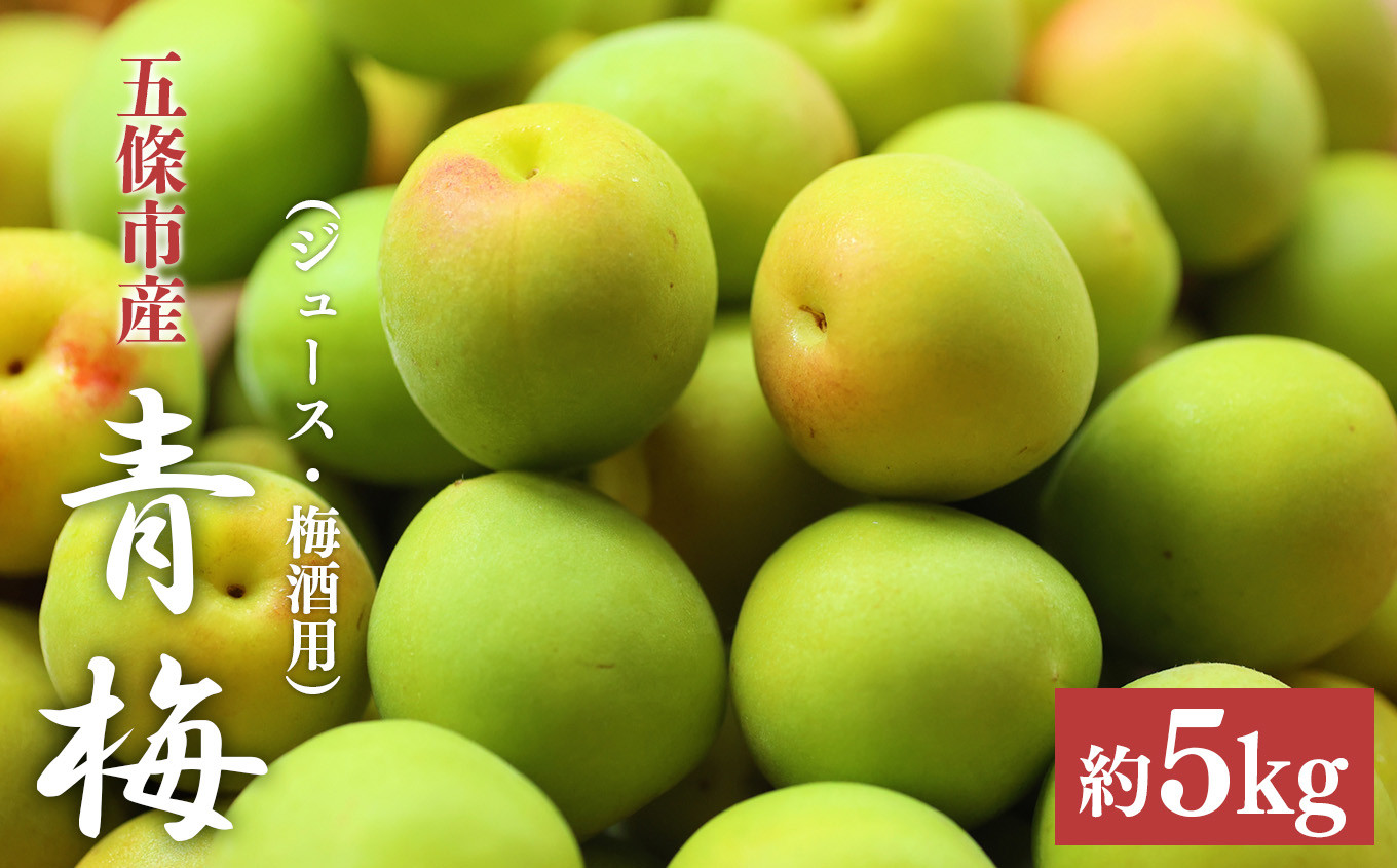 
                  青梅（ジュース・梅酒用）約 5kg | 果実 かじつ カジツ 梅 うめ ウメ ジュース 奈良県 五條市 シロップ 
                
