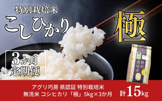[定期便 5kg×3ヶ月] 県認証 特別栽培米 コシヒカリ 「極」 5kg 合計15kg 無洗米 令和7年産米 一等米 こしひかり 新潟県認証 白米 3か月連続でお届け 【036S012】