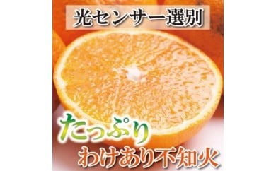 ＜2月より発送＞家庭用 不知火5kg+150g（傷み補償分）【デコポンと同品種・人気の春みかん】【わけあり・訳あり】【光センサー選別】