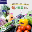 【ふるさと納税】農業姉妹がこだわって栽培！西洋野菜が入った旬の野菜詰め合わせ8種類 野菜 旬 季節 詰め合わせ セット