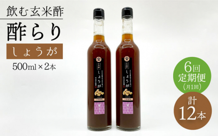 【飲む玄米酢】 【6回定期便】酢らり 大瓶2本セット（しょうが）＜川添酢造＞ [CDN096]