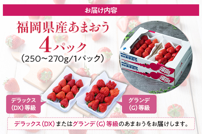 【冬】あまおう 約1000g いちご 苺 フルーツ 九州産 冷蔵 送料無料 イチゴ 果物 ※北海道・沖縄・離島は配送不可 大木町産 南国フルーツ CO002