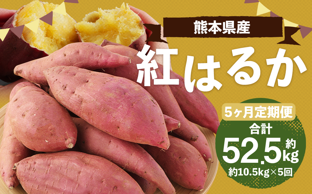 【2023年11月下旬発送開始】【5ヶ月定期便】熊本産 紅はるか 約10.5kg