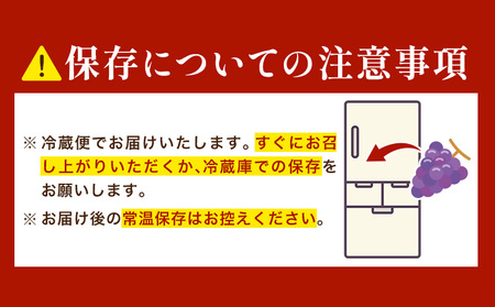 ぶどう シャインマスカット マスカット 4房 2kg 《9月上旬-9月下旬頃出荷》 たかたかファーム ブドウ 葡萄 マスカット 果物 フルーツ ギフト 岡山県 笠岡市
