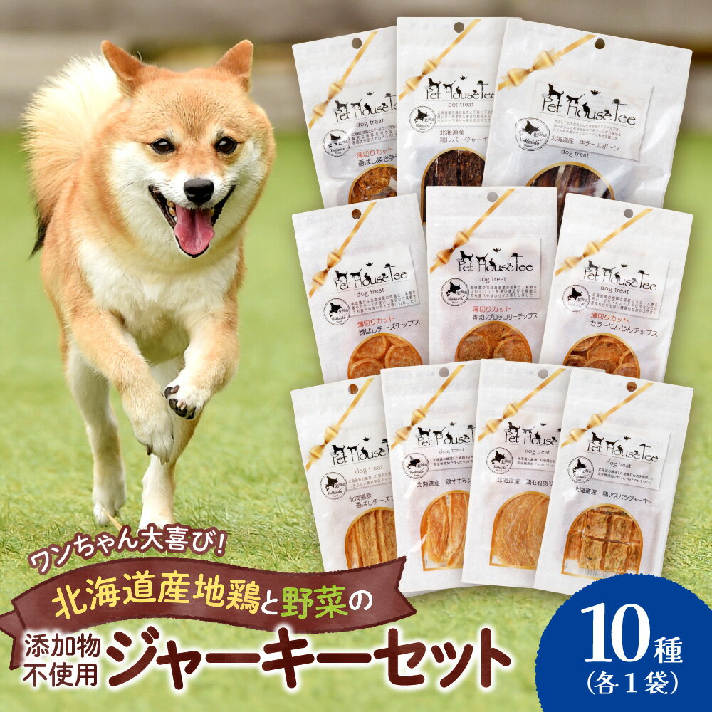 【ふるさと納税】 無添加ジャーキー セット 10種類 1袋 愛犬用 地鶏 鶏 野菜 無添加 動物 犬 ドッグ ペット ご褒美 餌 フード エサ おやつ 乾物 ごはん ご飯 間食 ペットフード ドックフード 北海道 札幌市