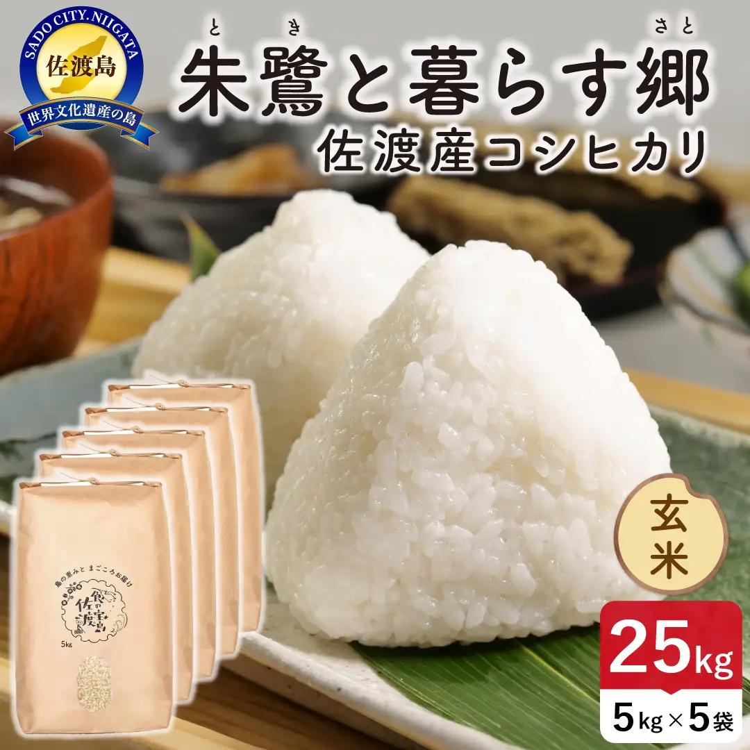 令和8年産 佐渡島産 朱鷺と暮らす郷 玄米25kg 特別栽培米 195962-094702