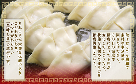 冷凍餃子 50個 10個 × 5パック 餃子
