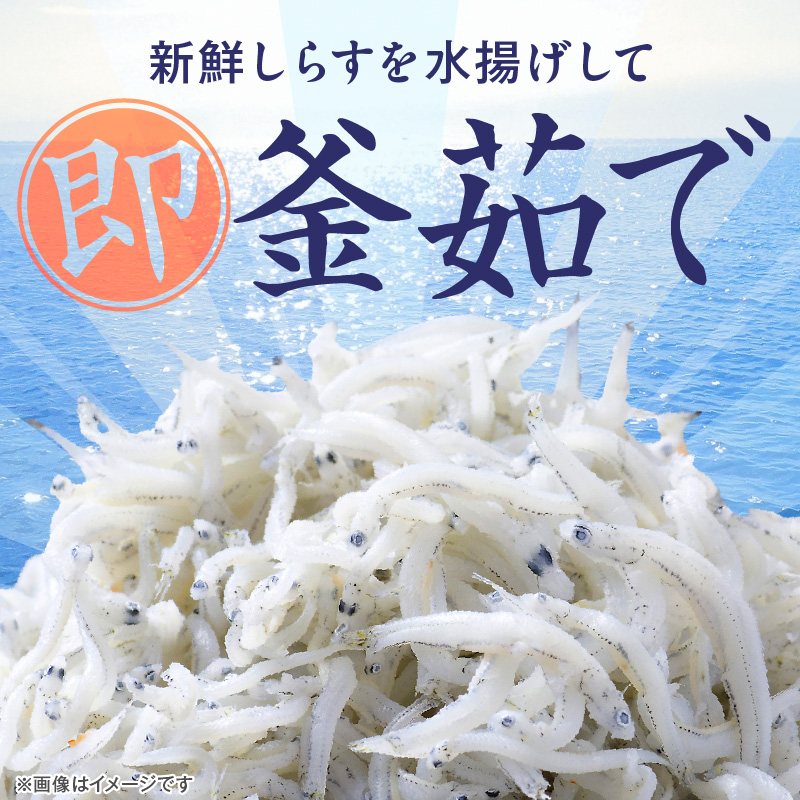 訳あり こモリ1kg！バラエティ豊富な三河しらす～海の仲間たち～　H018-046