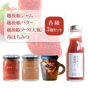 越後姫 いちご加工品4種 各3瓶セット いちご