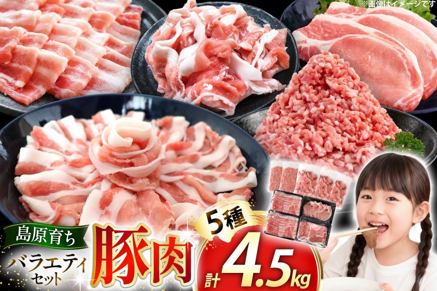 
                  AJ666 島原育ちの豚肉セット 計4.5kg [ 豚肉 ぶた 豚ロース とんかつ用 豚バラ しゃぶしゃぶ 薄切り 豚小間 こま切れ 豚ミンチ セット 小分け バラエティ スターゼン株式会社 長崎県 島原市]
                