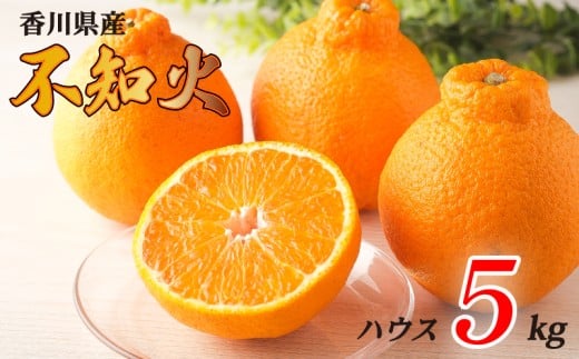 不知火 選べる 約5kg ハウス 常温 先行予約 フルーツ 果物 柑橘 しらぬい みかん ふるさと納税みかん 香川県 丸亀市