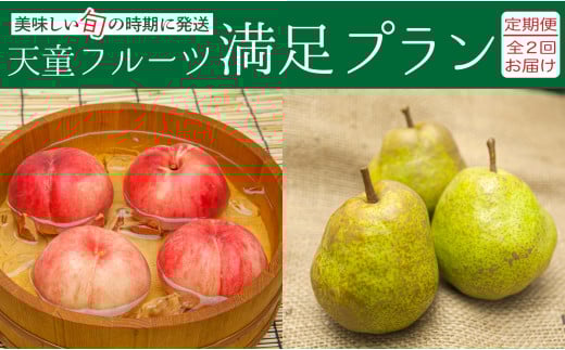 08-06-026　天童フルーツ満足プラン(定期便)全2回