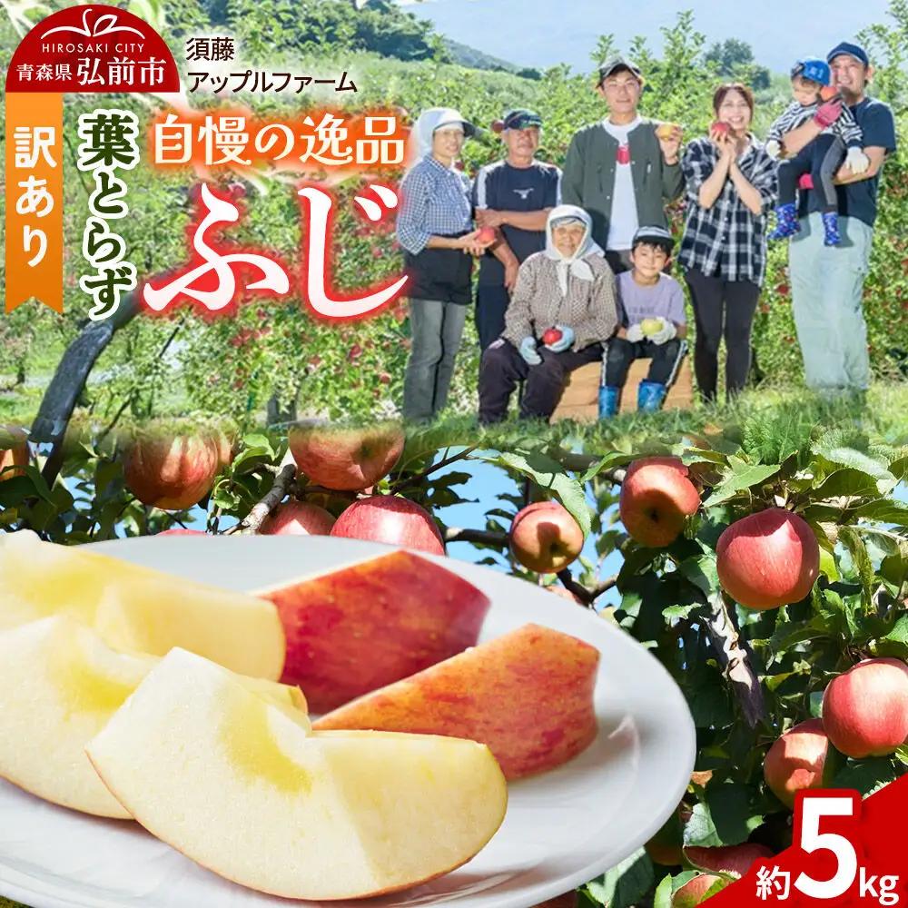 【26年11月下旬～発送】りんご 葉とらず ふじ【訳あり】約5kg 先行受付 家庭用 青森県 弘前市 果物 フルーツ 林檎 リンゴ くだもの 不揃い 規格外