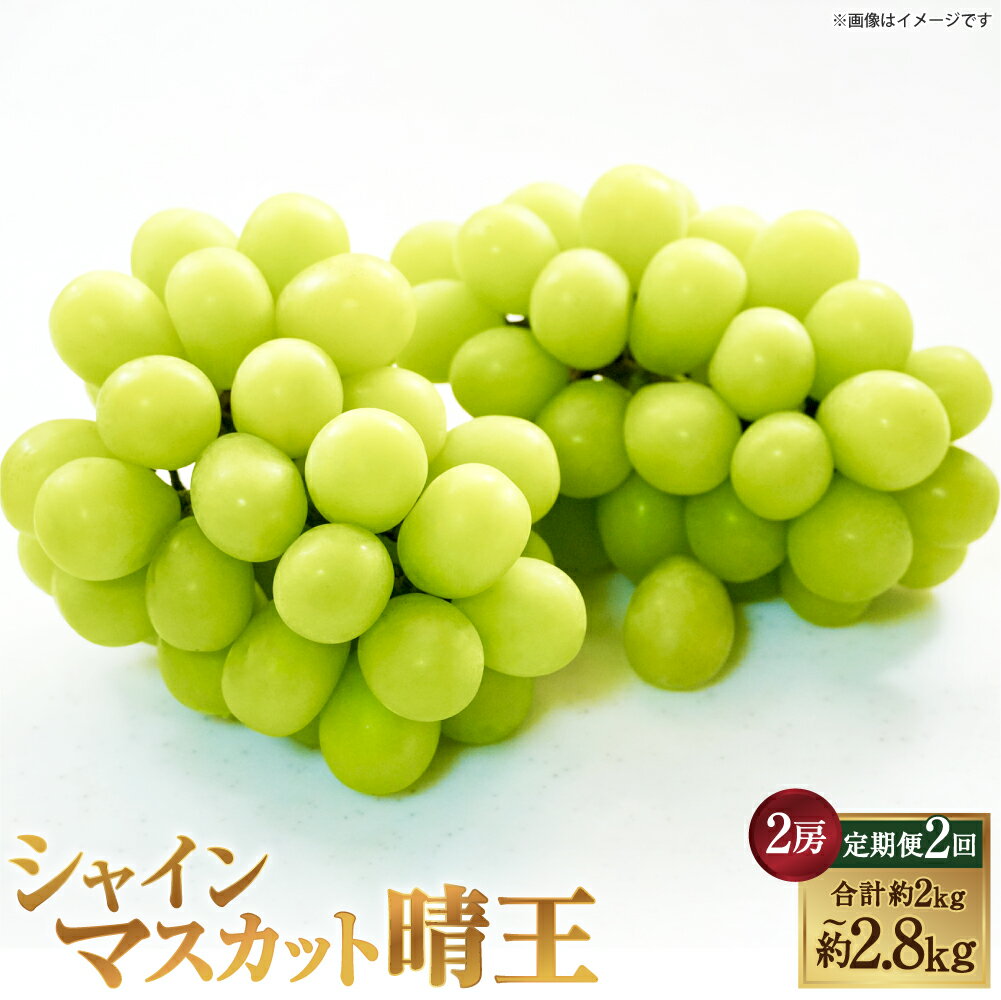 【ふるさと納税】[HS]【2回定期便】シャインマスカット 晴王 ＜選べる内容量＞ 1回あたり2房 計約1kg～計約1.4kg マスカット ぶどう ブドウ 葡萄 フルーツ くだもの 果物 果実 デザート 冷蔵 国産 岡山県産 倉敷市 送料無料 【2026年9月上旬～10月下旬発送予定】