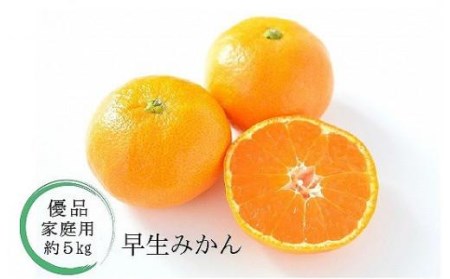【2026年11月中旬頃から順次発送】温州みかん「早生」＜優品・家庭用＞約5kg （ 愛媛産 愛媛県産 国産 愛媛みかん 愛媛蜜柑 愛媛ミカン みかん ミカン mikan 蜜柑 柑橘 フルーツ 果物 