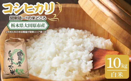 【令和7年産 新米 先行予約受付】栃木県 大田原市産 コシヒカリ 白米 10kg ｜コメ お米 銘柄米 農家直送 産地直送 産直 数量限定