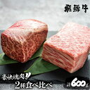 【ふるさと納税】飛騨牛 ブロック肉 [塊] (霜降り / 赤身 2種 牛肉 計600g) 食べ比べ ステーキ ローストビーフ に最適 訳あり 部位お任せ 真空パック 肉 バーベキュー BBQ bbq 焼肉 焼き肉 キャンプ 20000円 2万円 [S046]