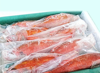 ノドグロ 10尾セット 1尾 約100g のどぐろ のどぐろ のどぐろ のどぐろ uomizushima005