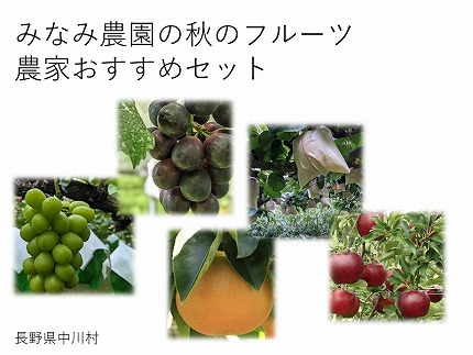 【農家直送】みなみ農園おすすめ　旬の果物セット