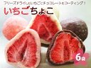 【ふるさと納税】いちご ちょこ 6袋 ｜ 苺 イチゴ チョコ スイーツ ギフト 送料無料※着日指定不可