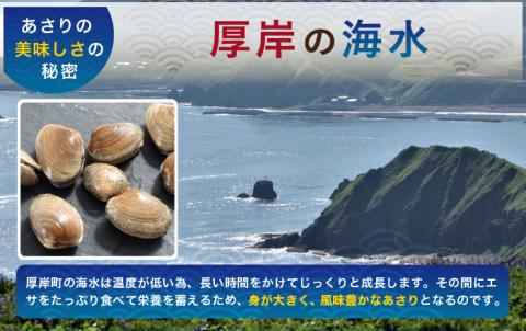 砂出し済み！ 北海道 厚岸産 北海あさり 2kgお届け (500g×4パック) 【 3ヵ月 定期便 】 (各回2kg×3ヶ月分,合計6kg)