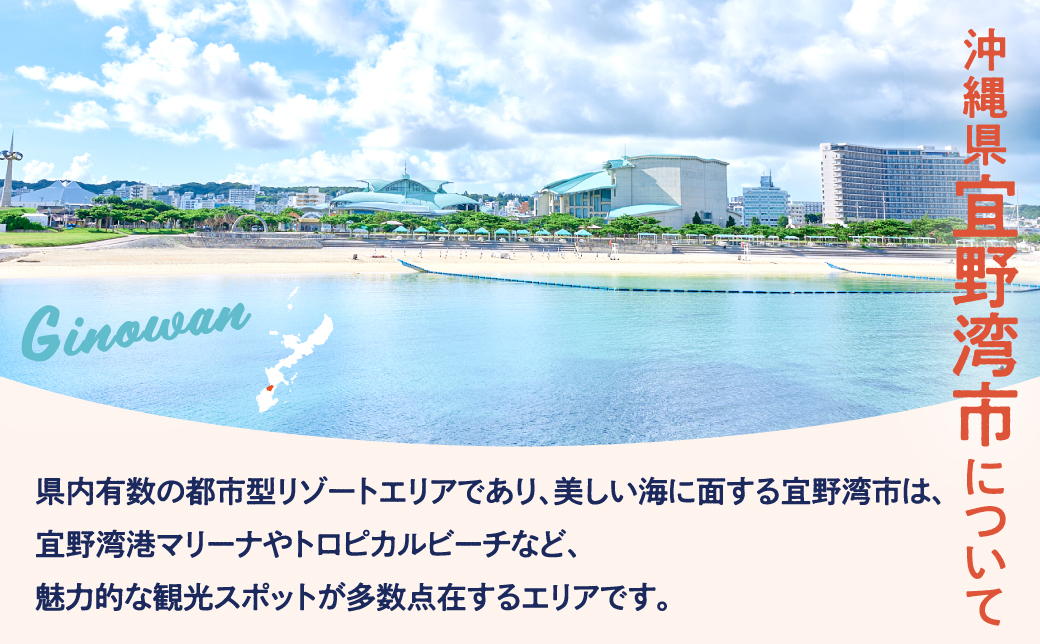 沖縄県 宜野湾市 しろくまツアーで利用可能なWEB旅行クーポン  90,000円分 | ふるさと納税 ふるさと | 送料無料 | 沖縄 旅行 トラベル 観光 リゾート ツアー | ホテル 宿 宿泊 |