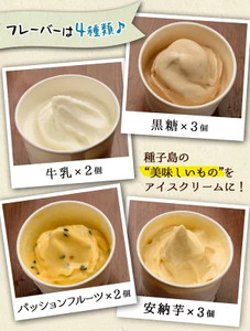 n014 アイスクリーム詰め合わせA(計10個)デザート スイーツ アイス 黒糖 安納いも 安納芋 牛乳 冷凍 氷菓 パッションフルーツ セット【ホテルレストラン公園通り】